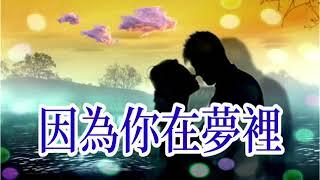  [ 因為你在夢裡 ]    演唱 : 張津滌  ( 原創視頻-K.L.Phuah)