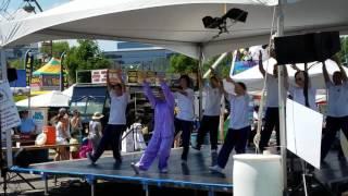 NOVA Wushu Academy Fairfax Fair June 11, 2017