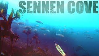 Wreck Diving and hunting Sea Bass in Sennen Cove. Spearfishing UK