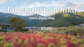 Tokyo Days 1-3: Lake Kawaguchiko Japan Vlog | Food, Oishi Park, Chureito Pagoda, Healing Village