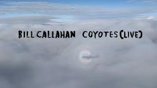 Bill Callahan "Coyotes (Live)" (Official Music Visualizer)