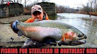 Northeast Ohio Steelhead Fishing