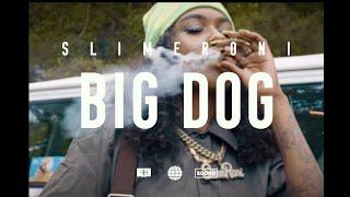 BIGDOG VIDEO