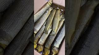 Чир, чебак, ленок, филе омуля и все это только из Якутска