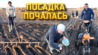 Сади в ГРЯЗЬ і будеш КНЯЗЬ! Садим город всією командою! Початок великого будівництва!