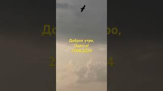 Доброе утро,Одесса!27.08.202 #море #одесса #live #odessa #2024 #пляж #лето