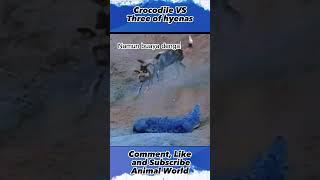 Crocodile VS three of Hyenas  ,#animalworld, #shorts, #yearofyou