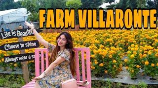 FARM VILLARONTE NEW TRENDS FARM IN NUEVA ECIJA!!️