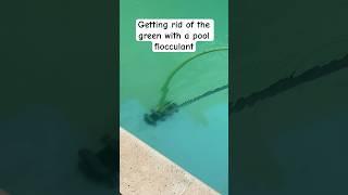 Pool Flocculant - Green to Blue when a pool shock just won’t do it. Full video linked!