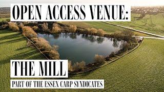 Carp Fishing Open Access Venue Review: The Mill in Essex