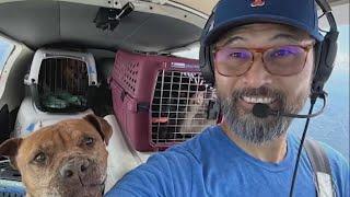 Virginia pilot killed in crash on dog rescue mission | NBC4 Washington