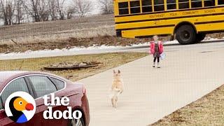 Dog Brings Girl to the School Bus Every Day | The Dodo