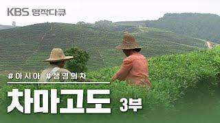 [명작다큐️] 차마고도 茶馬古道 6부작 | 3부 생명의 차 (KBS 2007.10.20 방송)