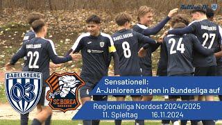 Sensationell: A-Junioren steigen in Bundesliga auf | Babelsberg 03 vs. Borea Dresden | #nulldreitv