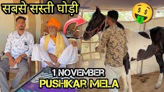 Pushkar mela 2024 live update || मावली उदयपुर से आयी सस्ती सस्ती घोड़ी || viphorse07 || #pushkarmela