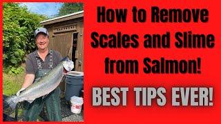 How to remove scales and slime from your Alaska Salmon FAST!