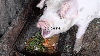 slopcore 4