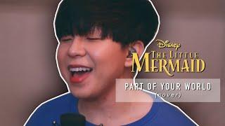 Part of Your World - From "The Little Mermaid" (cover) Karl Zarate *ORIGINAL KEY