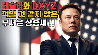 [TSLA/DXYZ] 테슬라와 데스티니테크100, 엔비디아를 따라간다? 주가 흐름 예사롭지 않다!