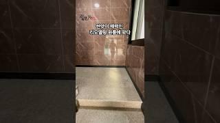 리모델링원룸 비쌀 이유가 없다 #집보자 #집소개 #원룸 #진평동원룸 #리모델링원룸