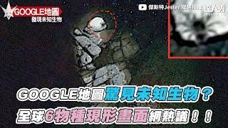 【GOOGLE地圖驚見未知生物？ 全球6物種現形畫面網熱議！！】｜@Jester666