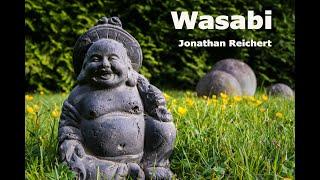 Jonathan Reichert - Wasabi (Remix of Guqin Studio)