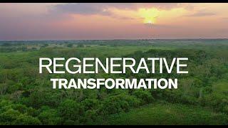 Regeneration Forestry Project