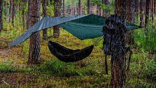 The Truth About Hammock Camping!