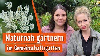 Naturnah gärtnern im Gemeinschaftsgarten | MDR Garten