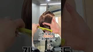 30초로 보는 “리프컷” 커트영상