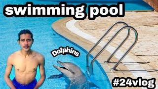 swimming pool ‍️ and Dolphins  || #youtube #public #world #india #swimmingpool #dolphins #24vlog