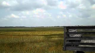 The Sawgrass Speaks on the Apalachicola River Ramble Trail