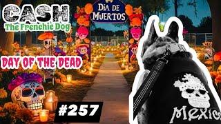 French Bulldog daily walking CASH ARCHIVALDO Día de Muertos Day of the Day #257