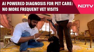 Chennai News | Chennai Start-Up Develops  AI Tech For Instant Diagnosis Of Pets For Common Issues