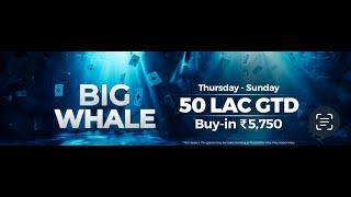 GODFATHER + BIG WHALE = 75L GTD on Adda52