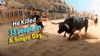 The Most Dangerous Bull Alive? Born Once Every 1000 Years!