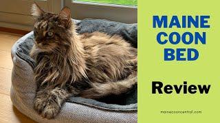 Maine Coon Cat Bed Review: What A Bargain!