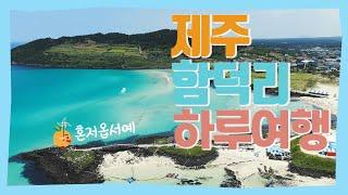 꼭 가봐야할 제주도 여행 필수코스 함덕 뽀개기  조천 함덕리 감성여행 하루코스