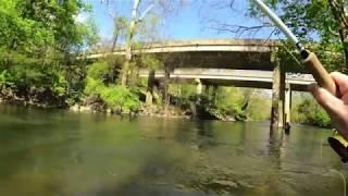 Fly Fishing For TROPHY TROUT on the Tulpehocken Creek