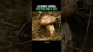 우리가 먹는 '이것'으로 스티로폼을 만들 수 있다고?