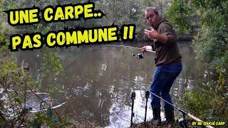 Une carpe.. pas commune!!