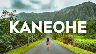 Top 10 Best Things to Do in Kaneohe, Oahu, Hawaii [Kaneohe Travel Guide 2024]