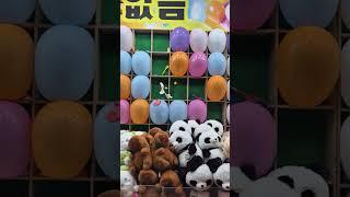 풍기 소백산 산신제 풍선 터트리기 #Shorts
