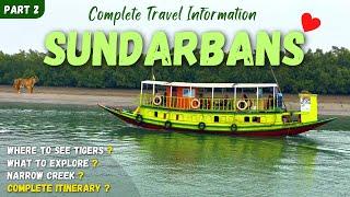 Sundarban Vlog | Sundarban Tour | Sundarban Tour Package | Tigers | Sundarban Part 2 #sundarban