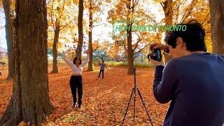 High Park Toronto Fall Foliage | Autumn in Touring Canada