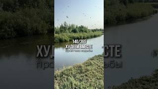#здоровыйобразжизни #рационпп #худеемвместе