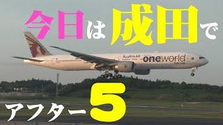 【成田空港】今の成田は”5時から勝負”！一年で最も日没時刻の遅い夏至の時期の成田で、夕方を彩る飛行機たちのステキな姿を堪能し尽くしてみよう