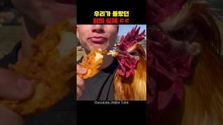 닭이 치킨을 먹는다고...?