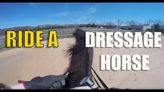 Ride a Dressage Horse, GoPro puts you in the saddle