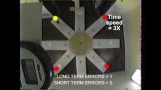 Learning and Memory: Radial arm maze Part 1
